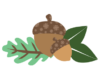 Acorns