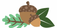 Acorns