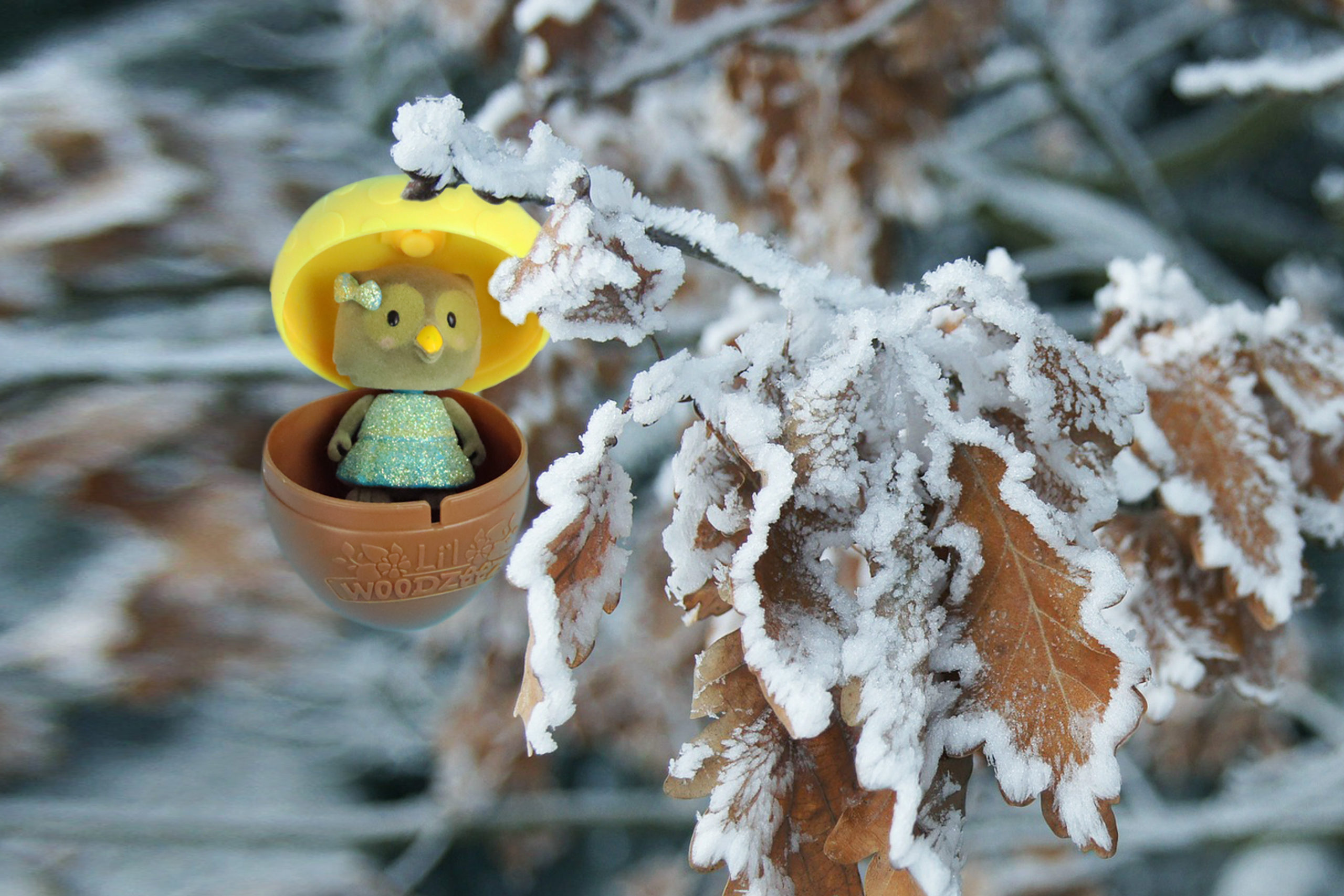 Hollowmas Day1 rectangle 1 scaled Hollowmas Day1 rectangle 1 scaled