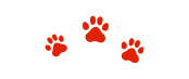 Pawprints2 Pawprints2
