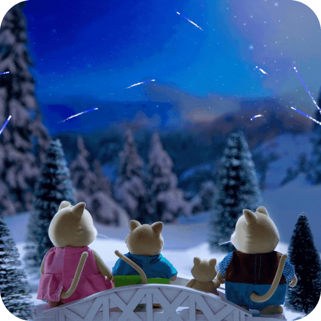 Whiskerellis in Winter